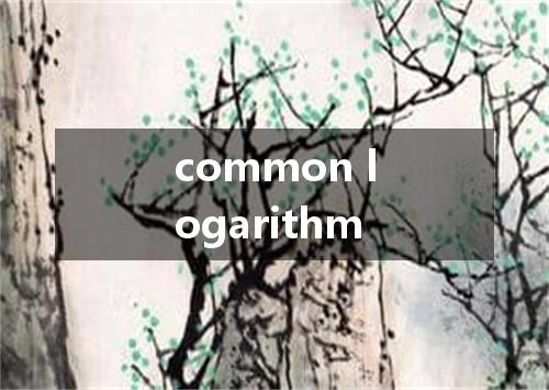 common logarithm是什么意思
