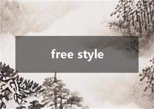 free style是什么意思