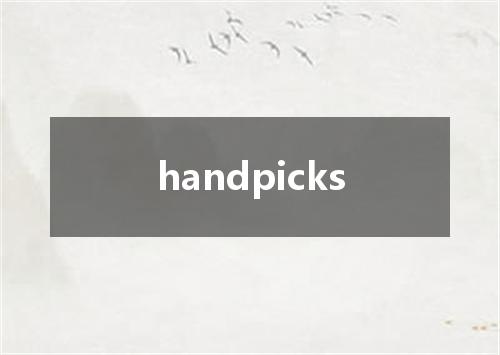 handpicks是什么意思