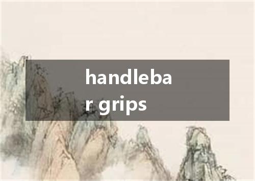 handlebar grips是什么意思