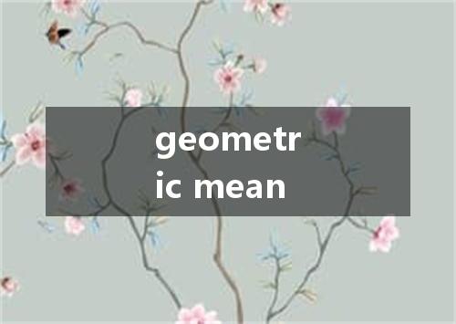 geometric mean是什么意思