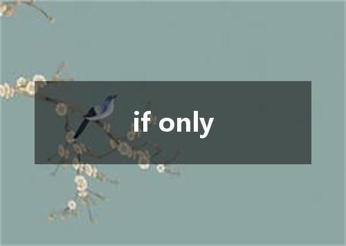 if only是什么意思