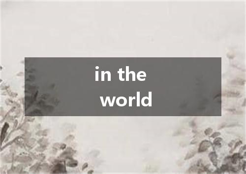 in the world是什么意思