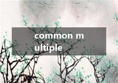 common multiple是什么意思