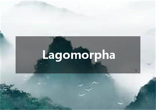 Lagomorpha是什么意思