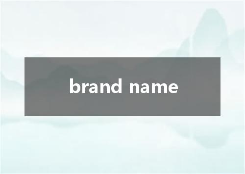 brand name是什么意思