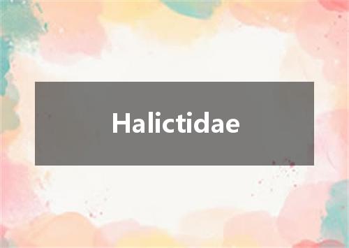Halictidae是什么意思