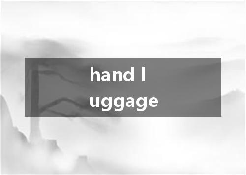 hand luggage是什么意思
