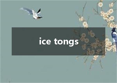 ice tongs是什么意思