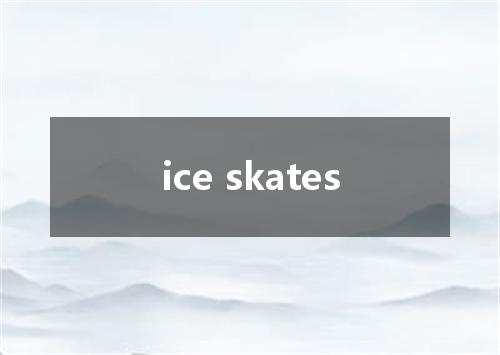 ice skates是什么意思