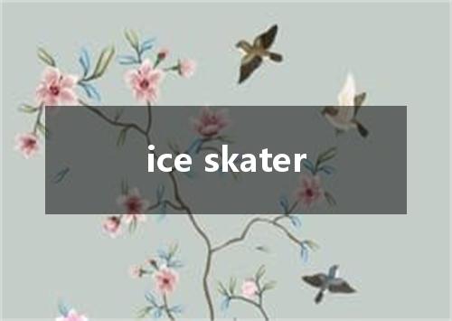 ice skater是什么意思