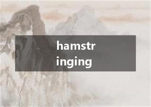 hamstringing是什么意思