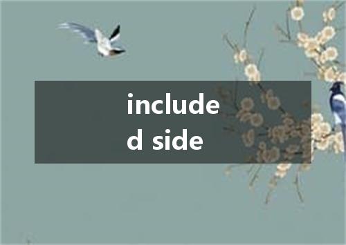 included side是什么意思
