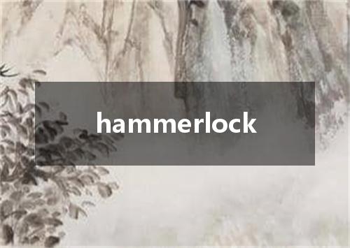 hammerlock是什么意思