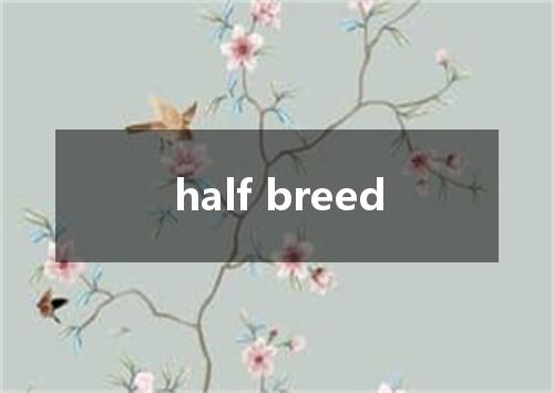 half breed是什么意思