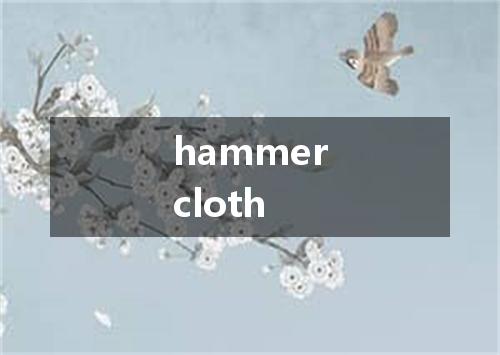hammercloth是什么意思