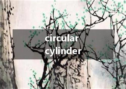 circular cylinder是什么意思