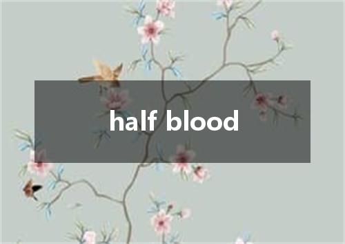 half blood是什么意思