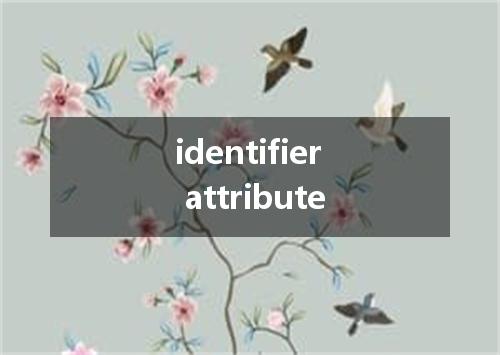 identifier attribute是什么意思