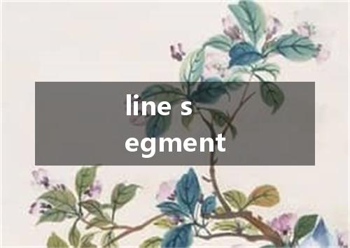 line segment是什么意思
