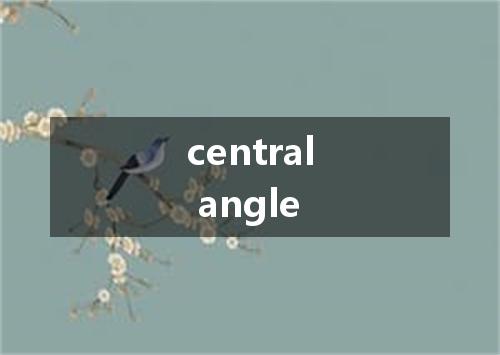 central angle是什么意思
