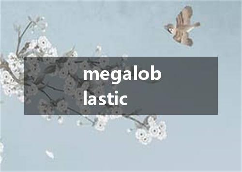megaloblastic是什么意思