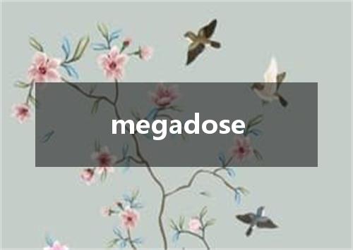megadose是什么意思