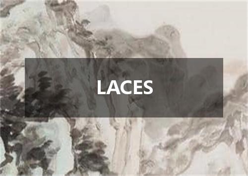 LACES是什么意思