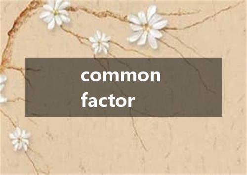 common factor是什么意思