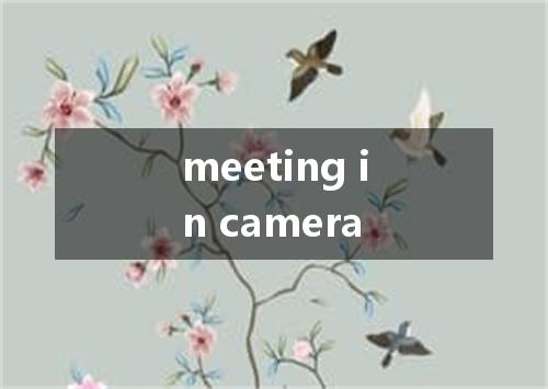 meeting in camera是什么意思