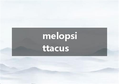 melopsittacus是什么意思