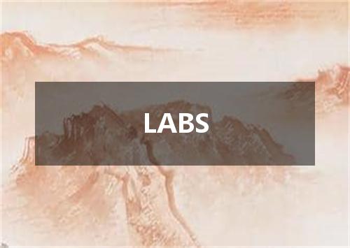 LABS是什么意思