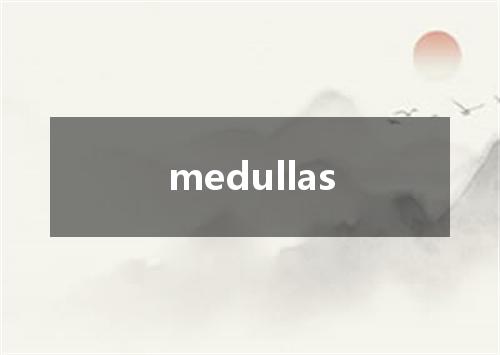 medullas是什么意思