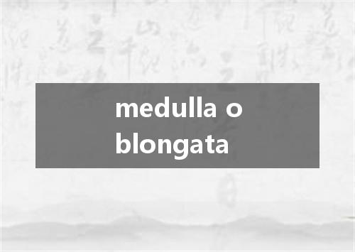 medulla oblongata是什么意思