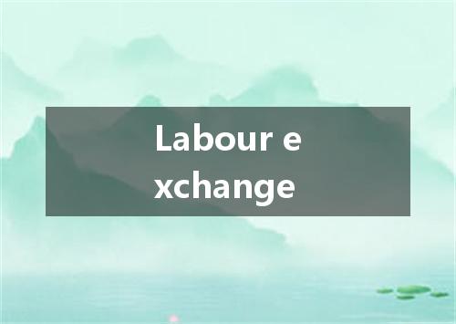 Labour exchange是什么意思