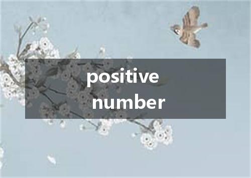 positive number是什么意思