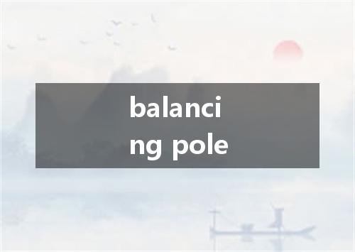 balancing pole是什么意思