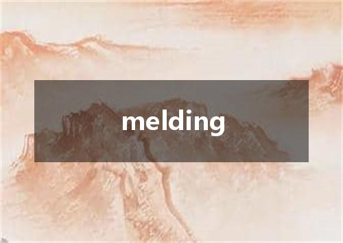 melding是什么意思