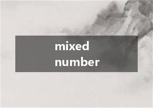 mixed number是什么意思