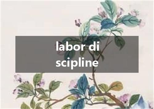 labor discipline是什么意思