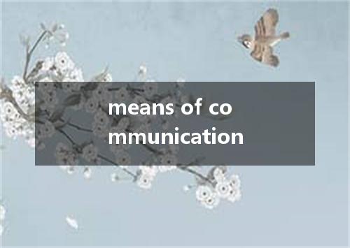 means of communication是什么意思
