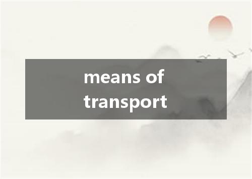 means of transport是什么意思
