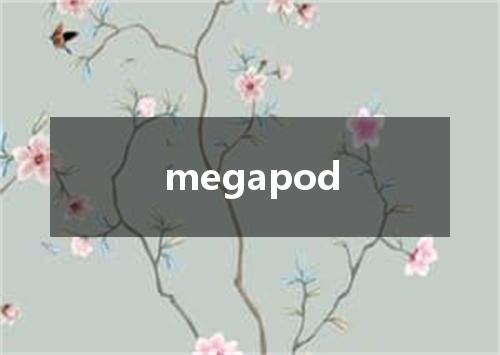 megapod是什么意思