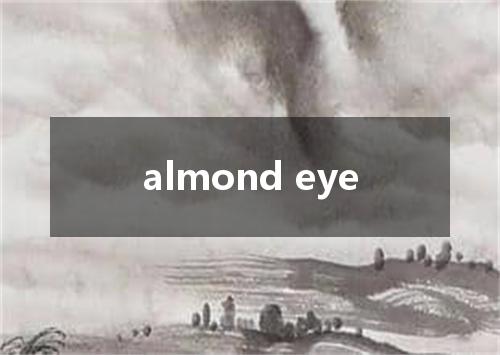 almond eye是什么意思