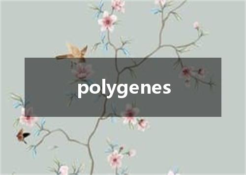 polygenes是什么意思