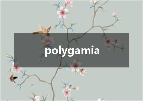 polygamia是什么意思