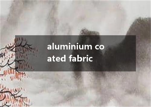 aluminium coated fabric是什么意思