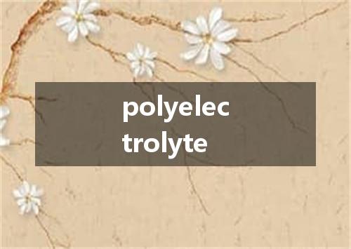 polyelectrolyte是什么意思