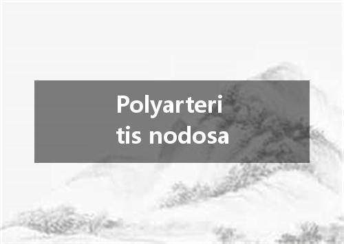 Polyarteritis nodosa是什么意思