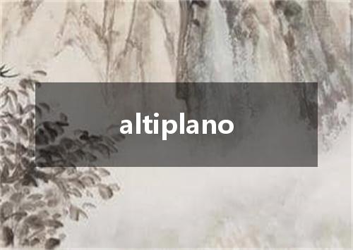 altiplano是什么意思